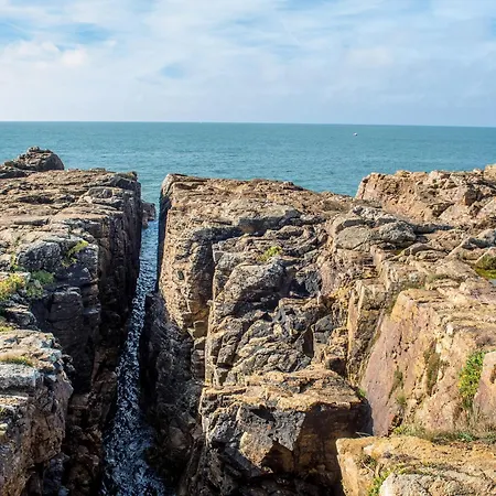 T2 Proche Avec Loggia Et Un Animal Admis - Fr-1-92-649 * La Pironnière