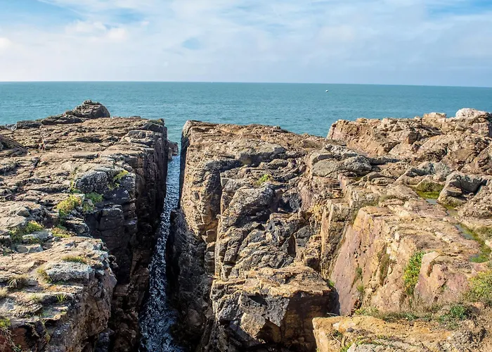 T2 Proche Avec Loggia Et Un Animal Admis - Fr-1-92-649 * La Pironnière